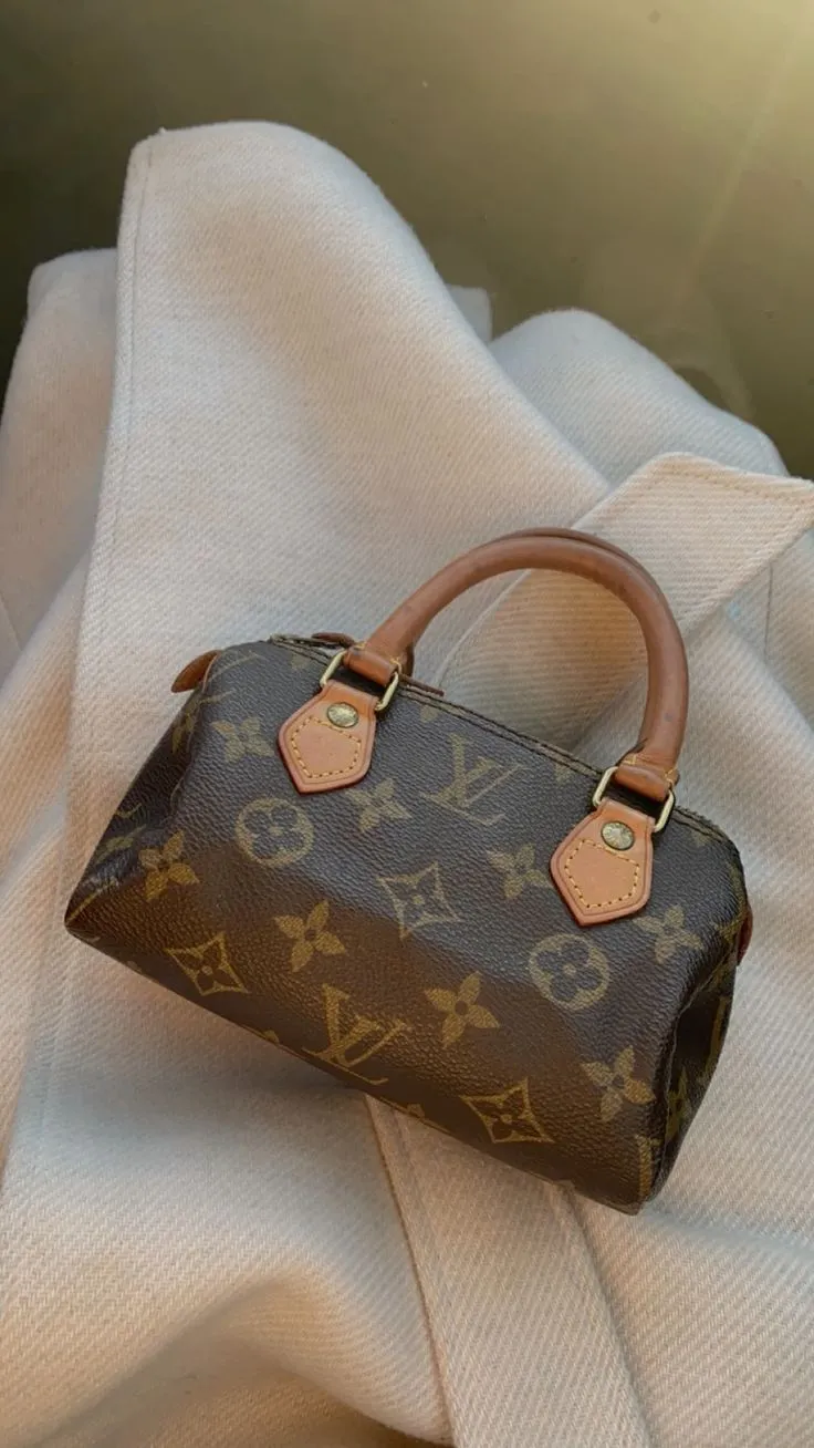 명품백-브랜드-순위-루이비통-스피디백