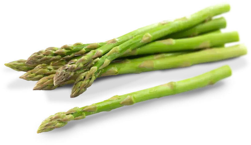 아스파라거스