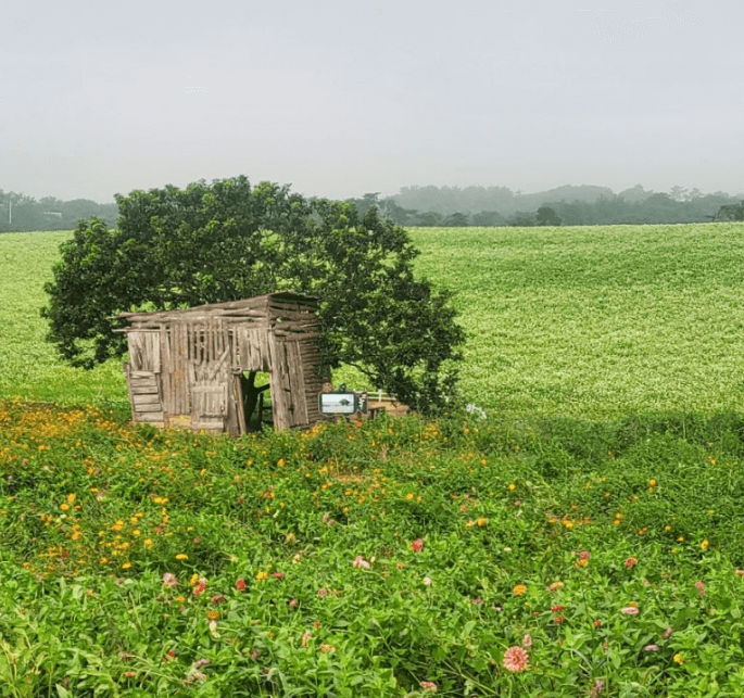 보리나라 학원농장