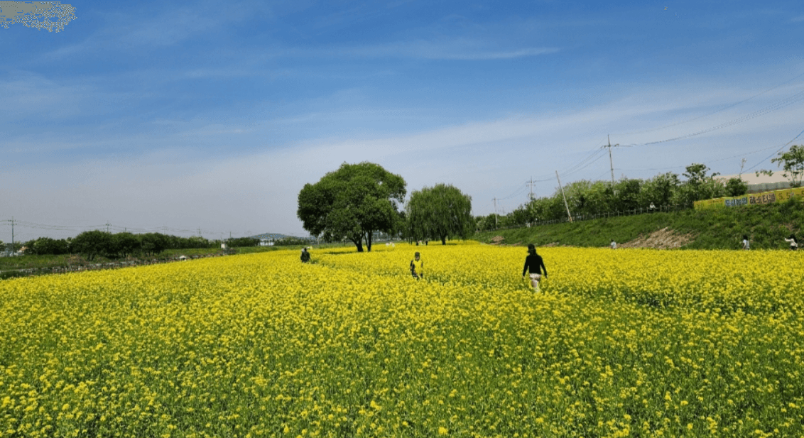 5월 충청북도 축제 일정 가볼만한 곳, 충청도 여행 추천