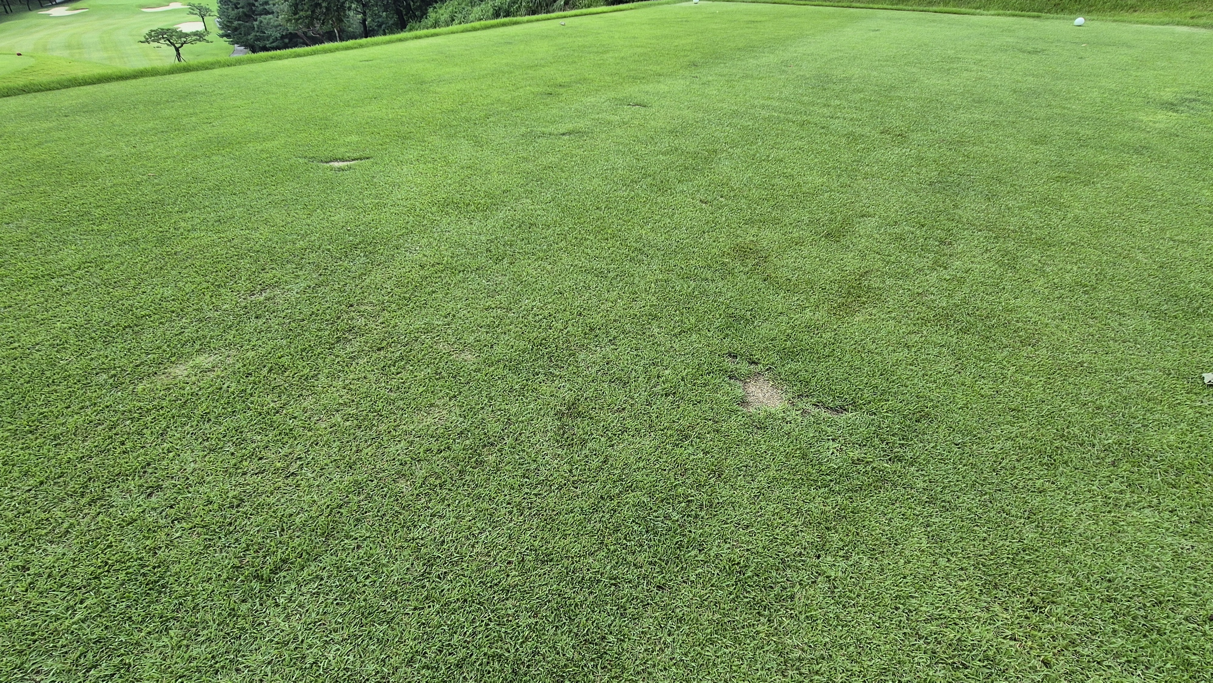 뉴서울cc 예술in-문화in 코스 라운드 후기