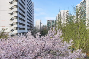 신혼희망타운 청약 6