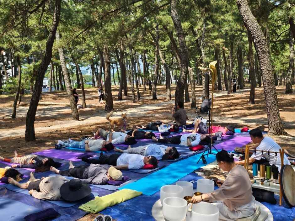강릉해양레저 펫가족 힐링페스티벌