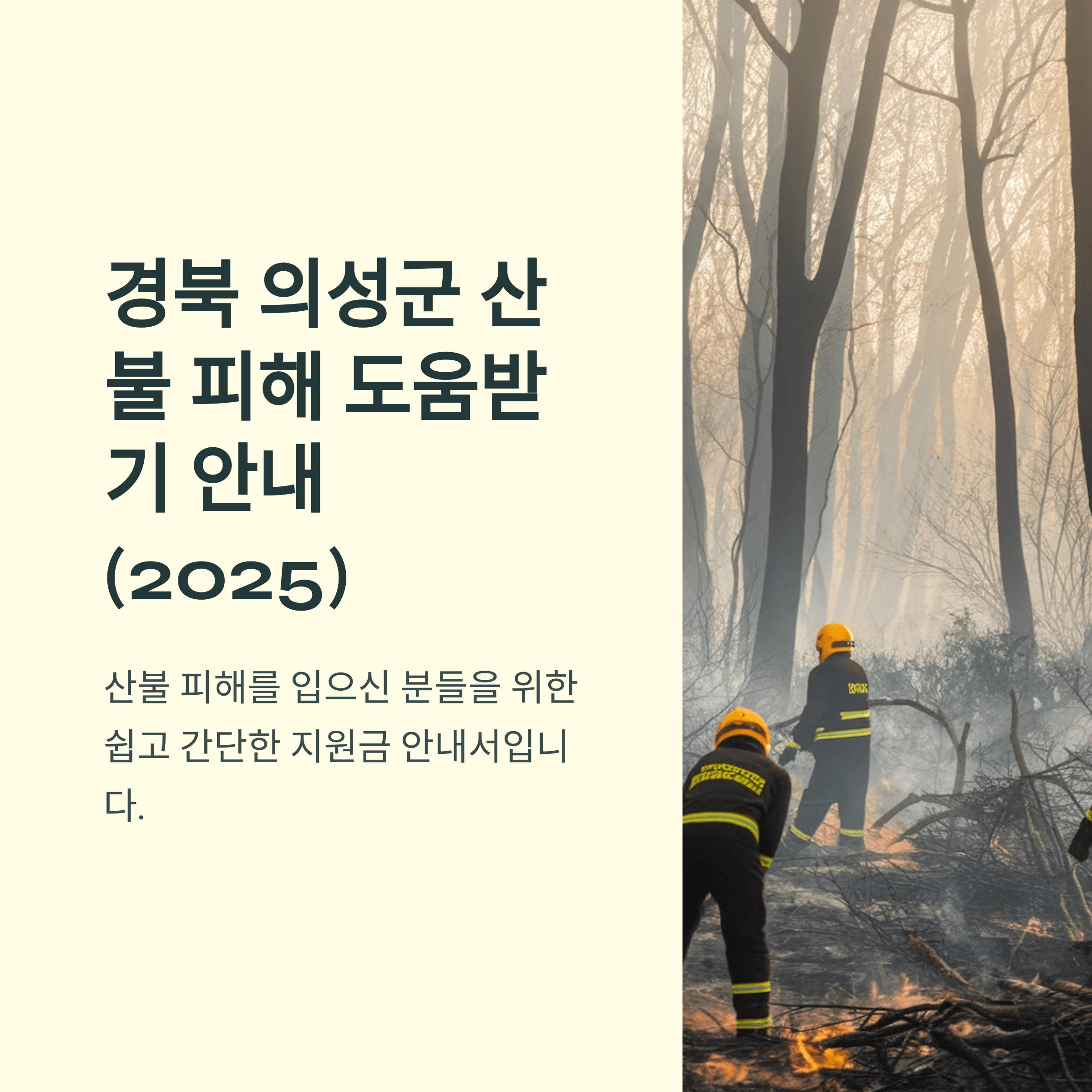 의성군 산불 피해 재난 지원금 지급 방법