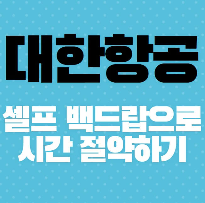 대한항공-셀프-백드랍으로-시간-절약하기