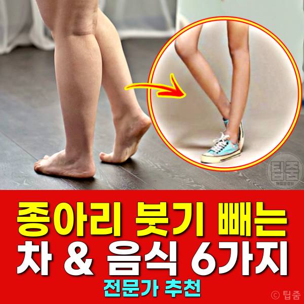 종아리 붓기 빼는 음식 붓기빼는 차