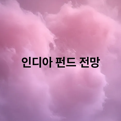 인디아 펀드 전망