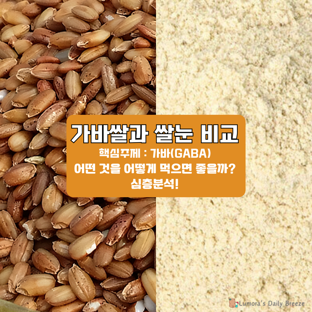 가바쌀과 쌀눈가루의 각각의 효능과 장단점을 비교하고 나에게 맞는 섭취방법을 알아봅니다. 이미지는 가바쌀과 쌀눈가루의 비교를 시각적으로 이해하기 쉽도록 만든 썸네일 이미지입니다.