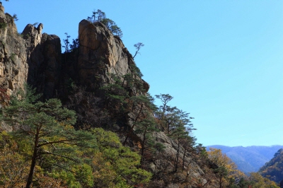 설악산-케이블카-사전-예약-불가!-현장-구매-방법,-요금,-운영시간
