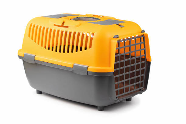켄넬 펫캐리어 이동장 구매가이드