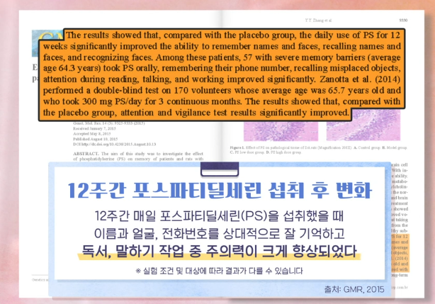 포스파티딜세린 효능