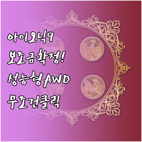 현대 아이오닉 9 성능형 AWD 20..