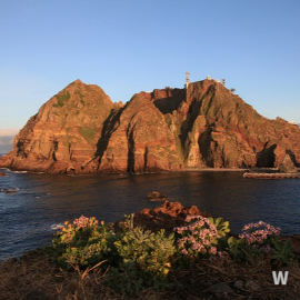 울릉도 사진11
