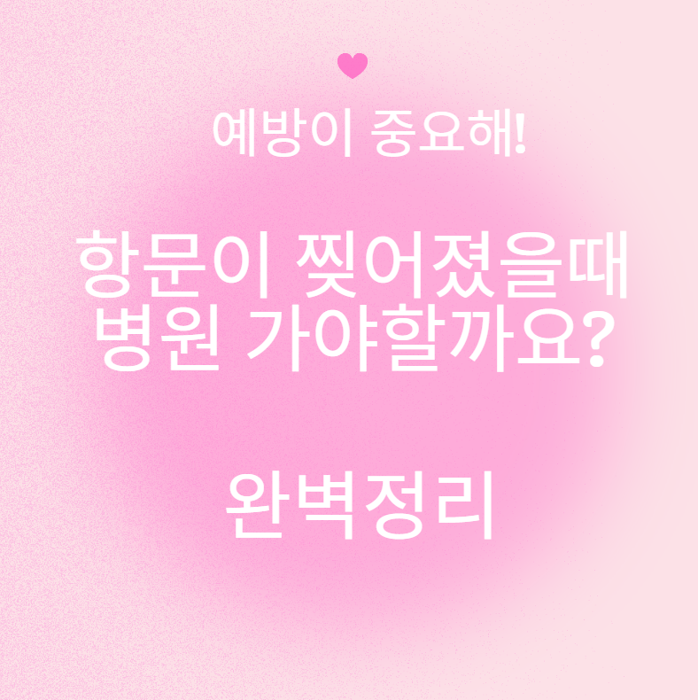 항문이 찢어졌을때 병원 가야할까요? 완벽정리