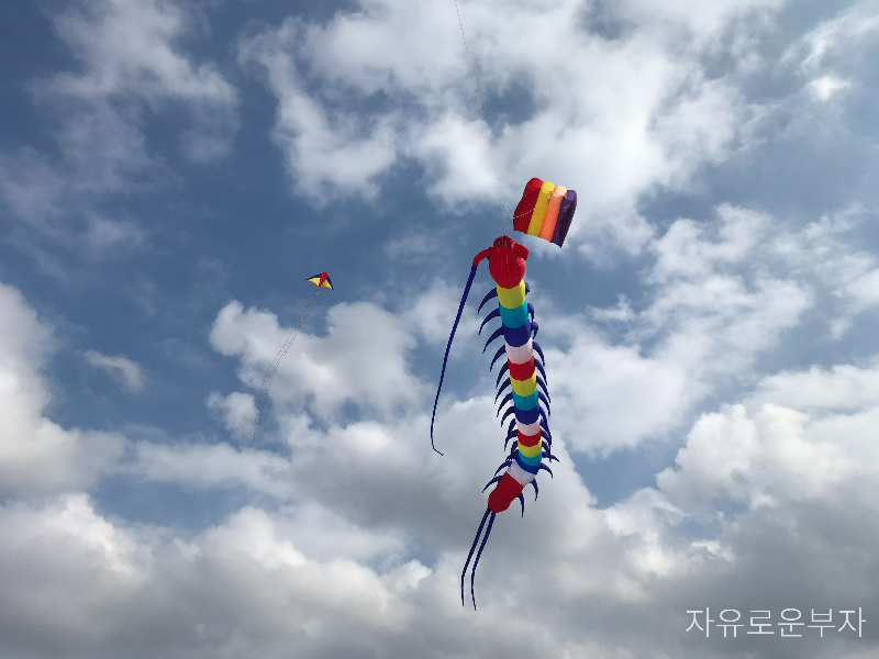 시흥갯골생태공원 명소