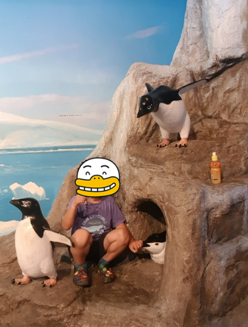 여수 아쿠아플라넷 사진