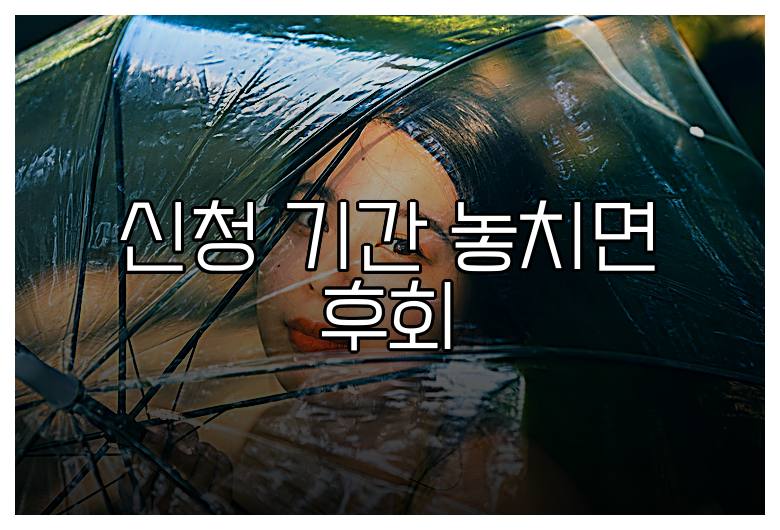 신청 기간 놓치면 후회