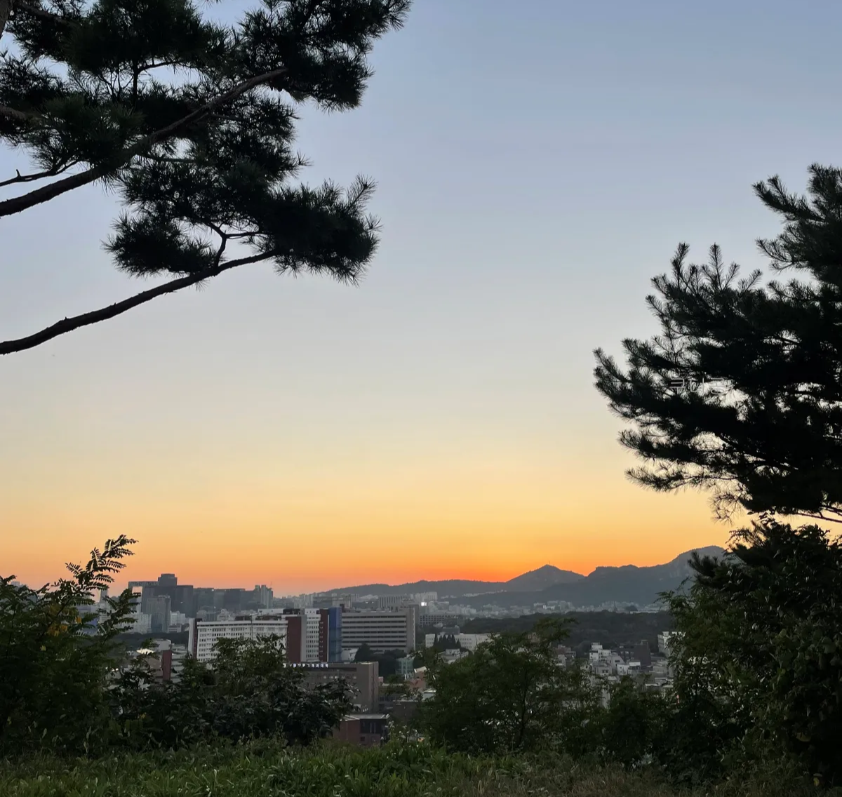 대학로-혜화-저녁에-가볼만한곳-추천-낙산공원-일몰-조용한-카페-독립서점