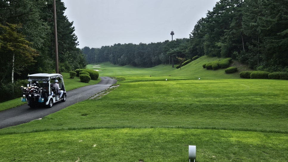 골프장 경험담 여주 세라지오CC 자연 속에서 즐기는 프리미엄 퍼블릭 골프장의 품격