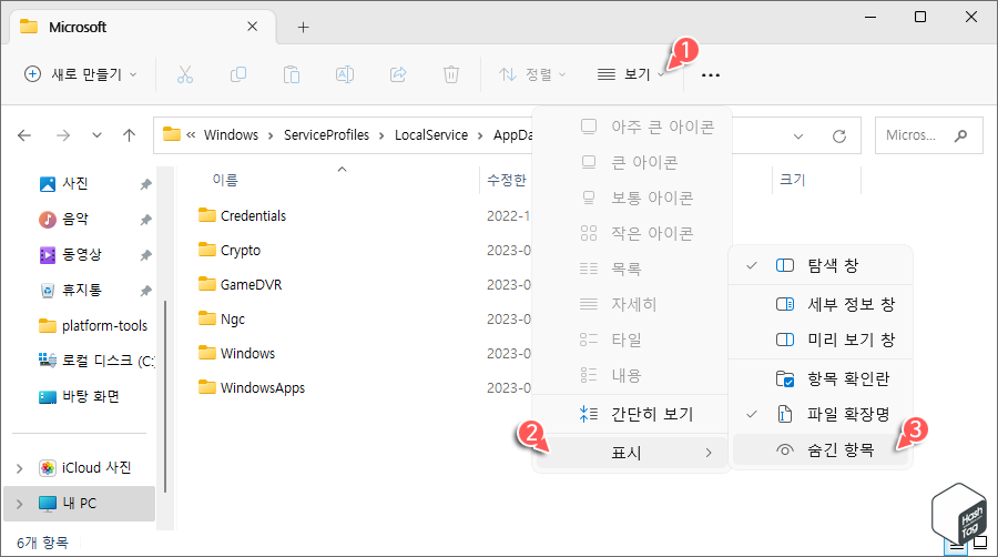 파일 탐색기 보기 &gt; 표시 &gt; 숨긴 항목