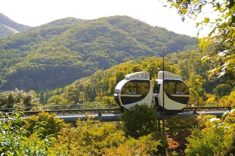 화담숲 모노레일 예약