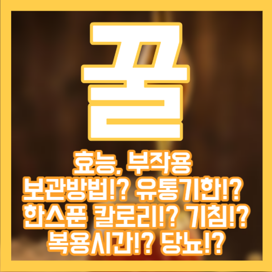 꿀 효능 부작용 - 보관방법!? 유통기한!? 한스푼 칼로리!? 복용시간!?
