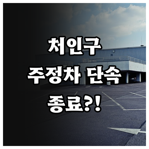 처인구 주정차 단속 유예 시간 확인 ..