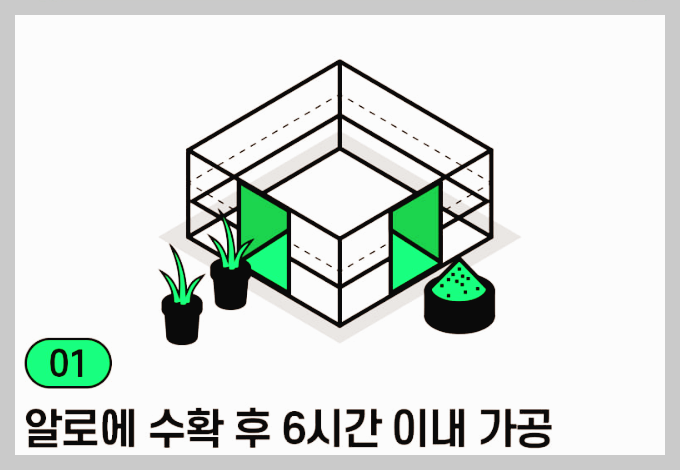 웰릿 이뮨베라 경험담, 먹기전 제대로 알기
