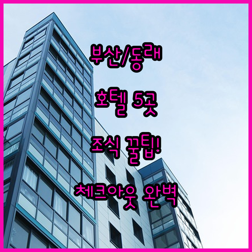 부산 시청 동래 호텔 5곳 가성비 조..