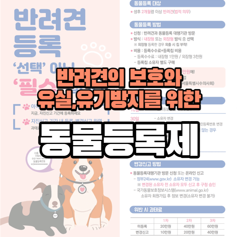안전한 무선식별장치로 반려견 등록, 자진신고기간, 과태료 면제