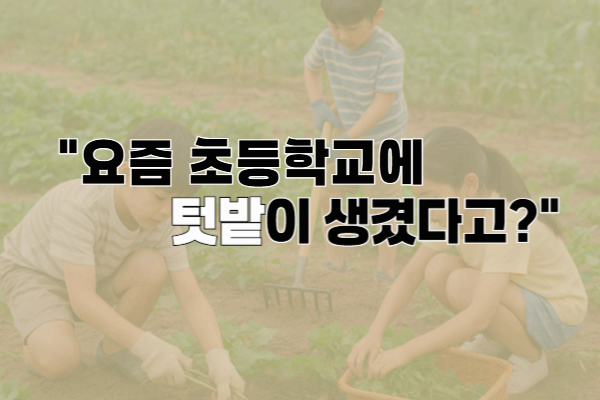 학교에 텃밭이? 요즘 초등학교 농촌교육이 뜨는 이유