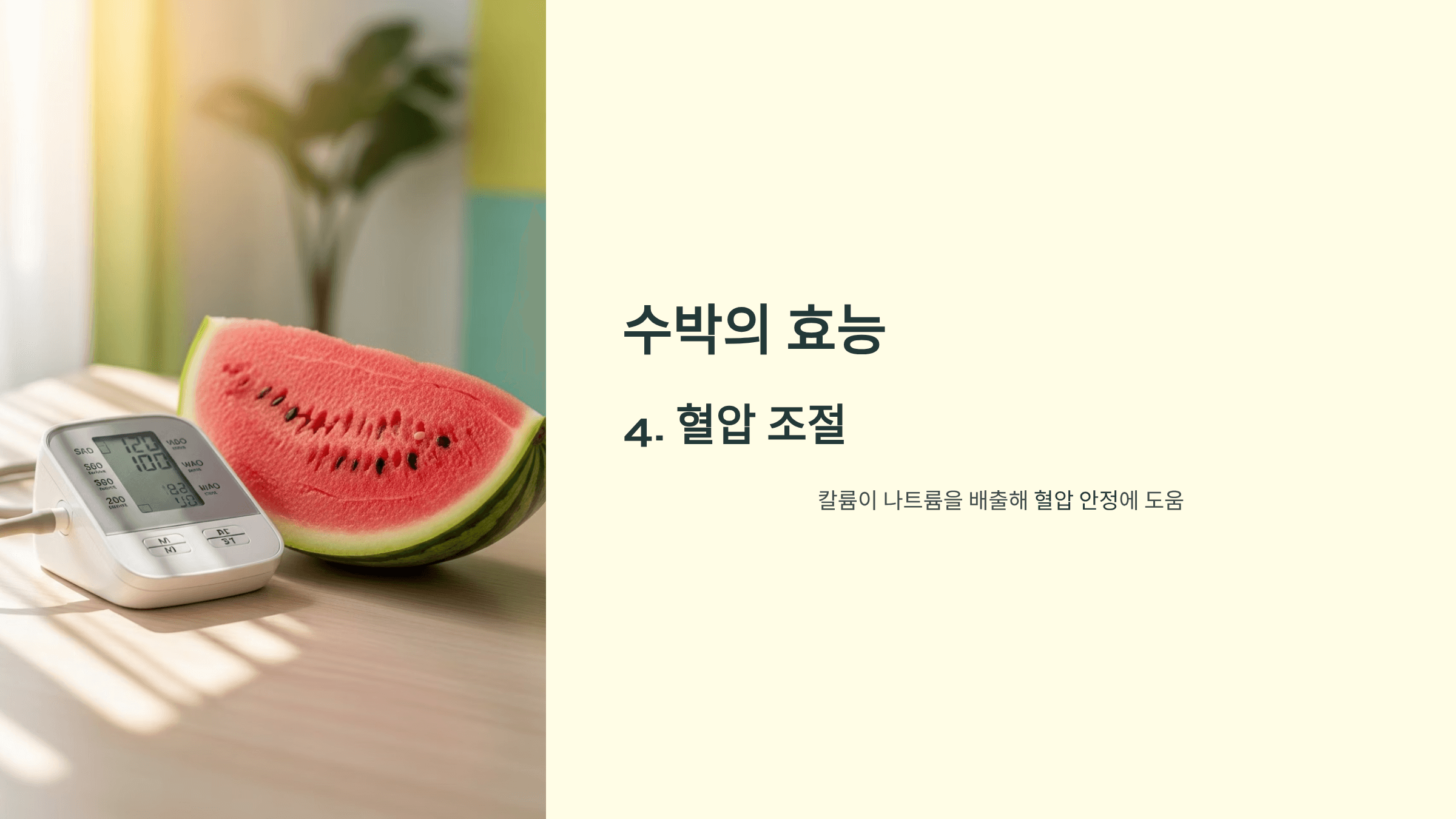 수박 사진입니다.