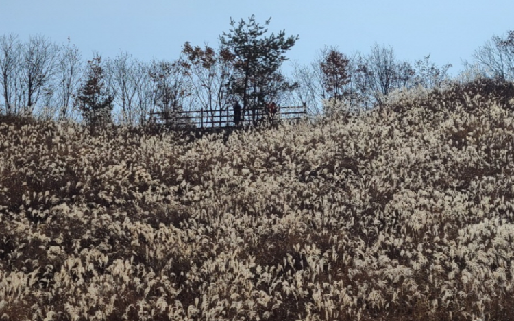 명성산 등산코스