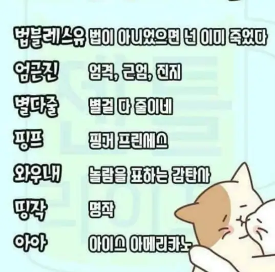 신조어
