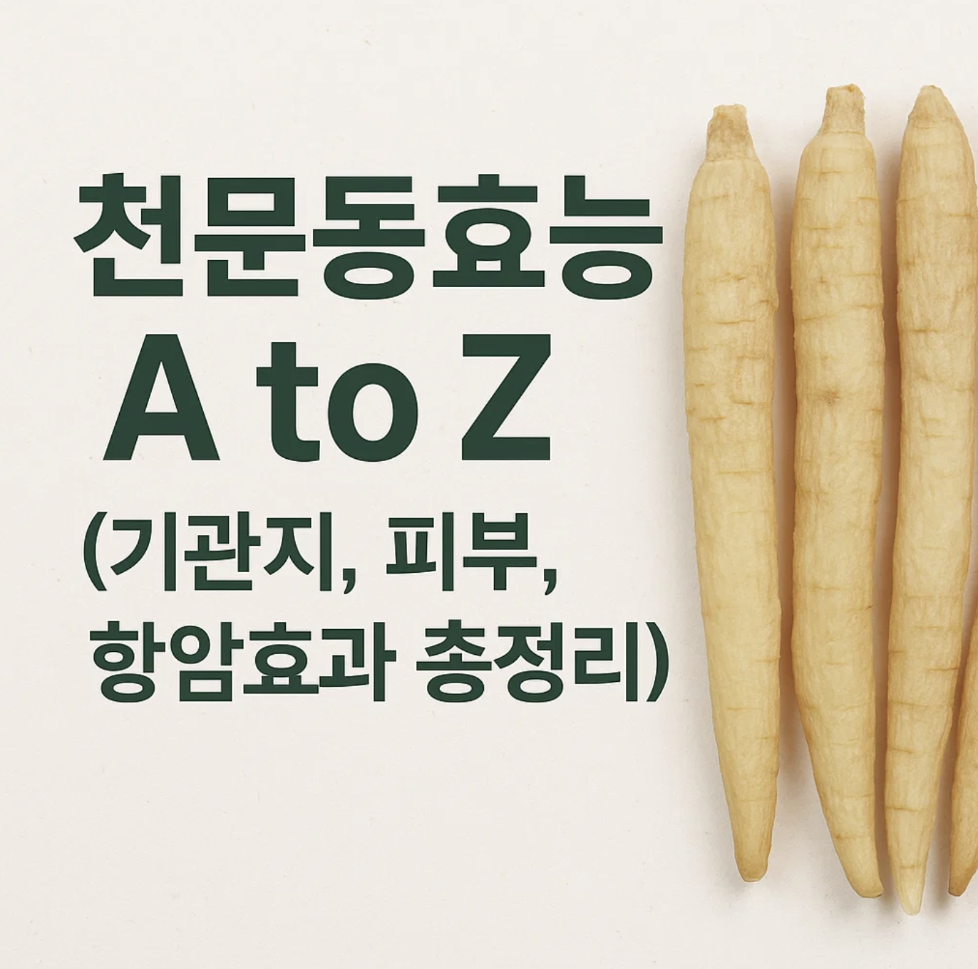 천문동효능 A to Z (기관지, 피부, 항암효과 총정리)