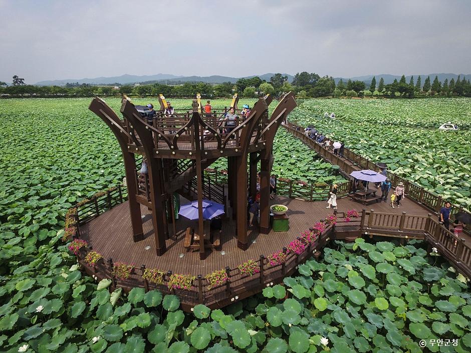 무안 가볼만한곳 베스트10