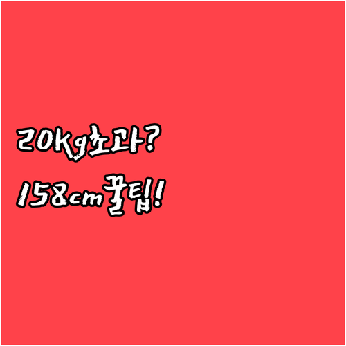 에어마카오 캐리어 무게와 크기 제한 ..