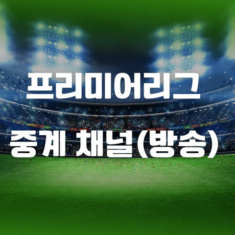 프리미어리그 중계 채널(방송)