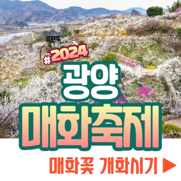 광양매화축제 개화시기