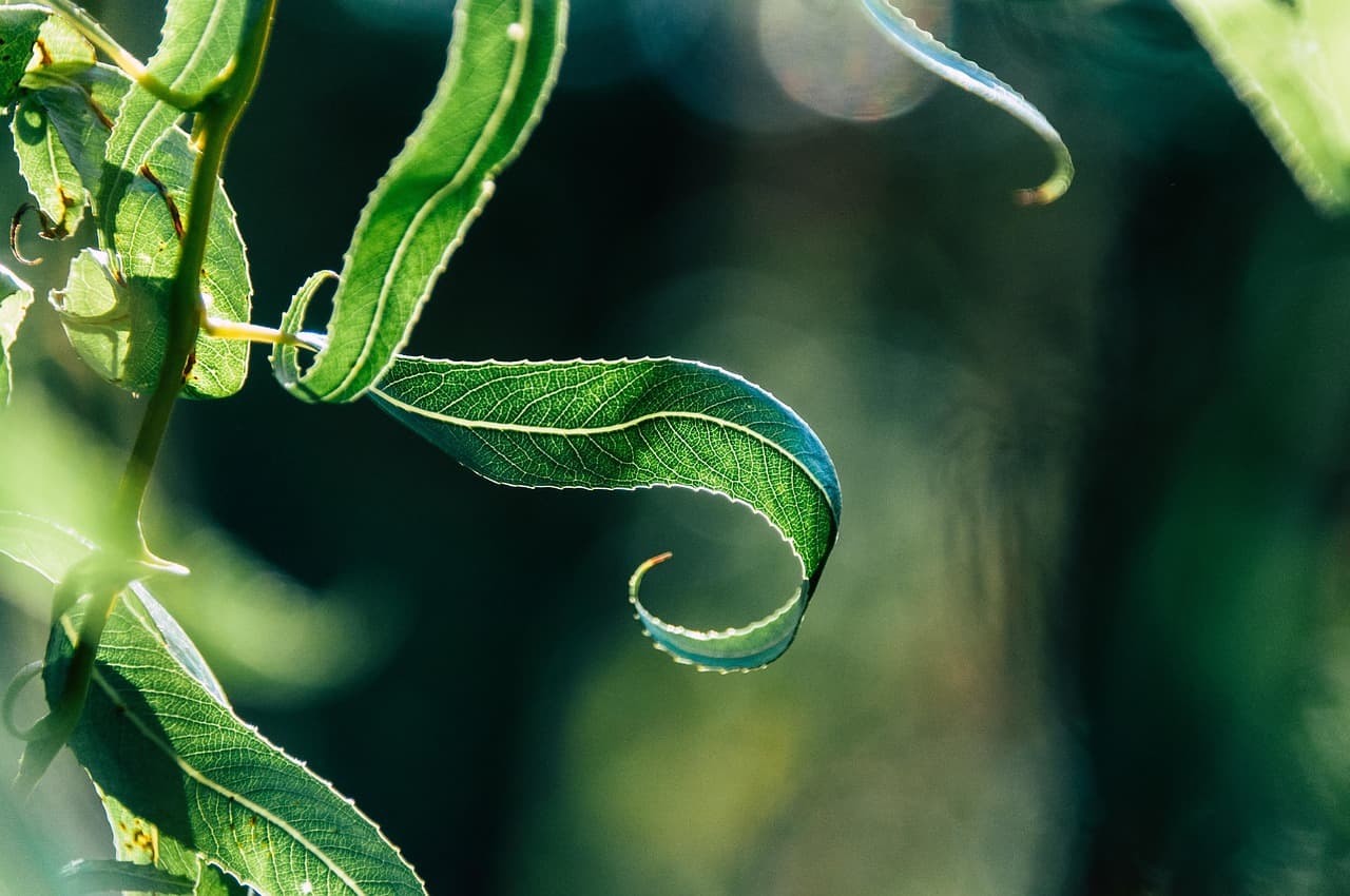 비타민D 부족이 탈모와 피부노화를 부른다
