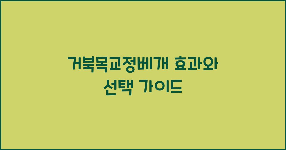 거북목교정베개