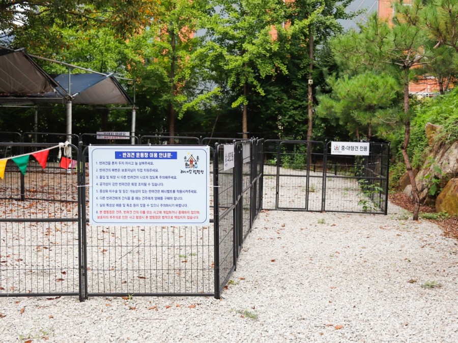 [경기] 양주 : 개네집캠핑장 (애견동반가능)