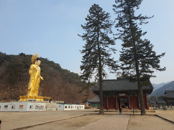 법주사 금동미륵대불과 사천왕문