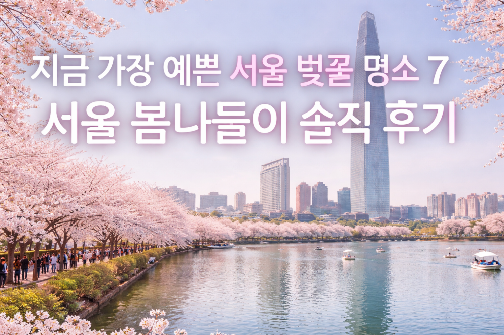 지금 꼭 가야 할 서울 벚꽃 명소 7곳, 이것만 보면 끝