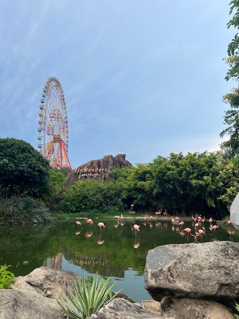 나트랑 빈원더스 동물원 홍학과 대관람차 사진스팟