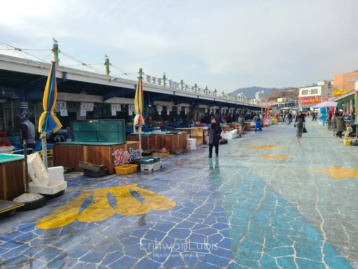 묵호항-시장-장보는-사람들