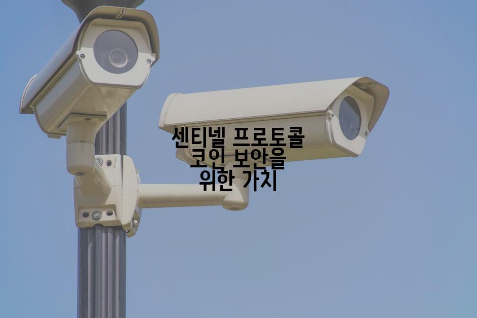 센티넬 프로토콜 코인 보안을 위한 가치