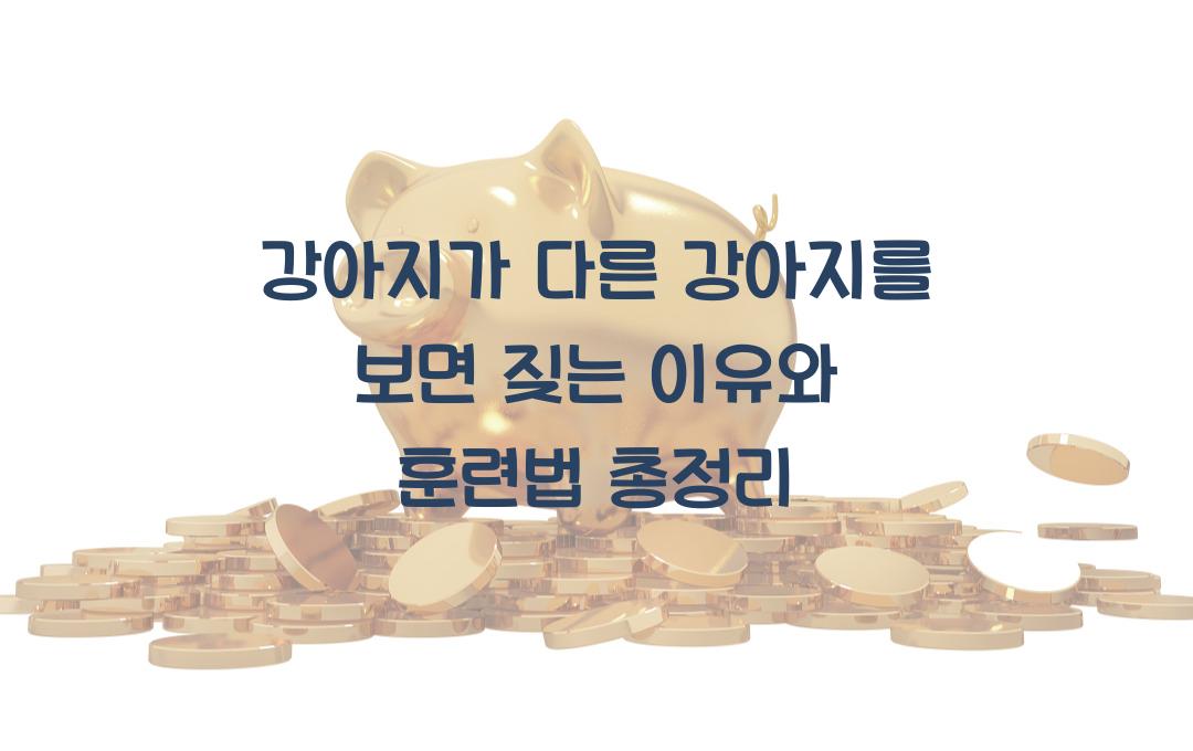 강아지가 다른 강아지를 보면 짖는 이유 & 훈련법