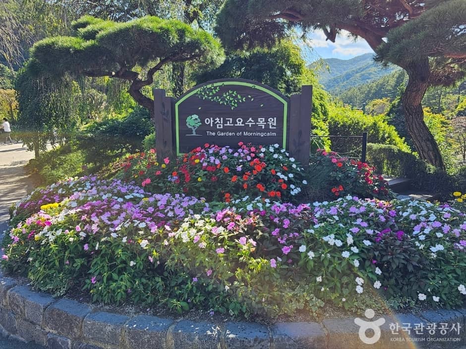 아침고요수목원 사진