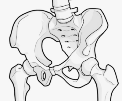 엉치뼈가 아픈이유 통증 원인